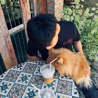 เสียงต้นฉบับ - ดูแมวไล่หนูที่ห้องเราป่าว