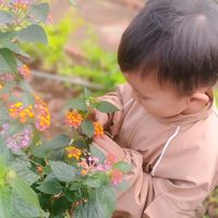 nhạc nền - Gia Đình 🐓🐱🐕🐷