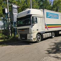 kot.161.vladimir