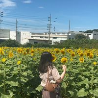 riichan_o