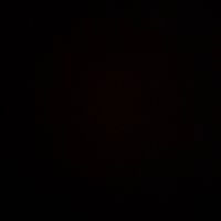 hhff_24