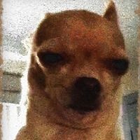 original sound - isotonic_edits