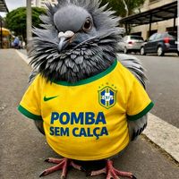 som original - Pomba sem calça