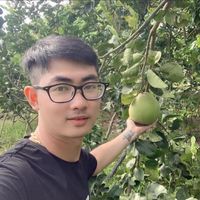 nhạc nền - Nguyen Lư