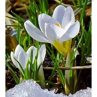 liliya3913lll0