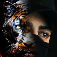 الصوت الأصلي