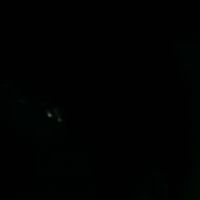 its_brutalouthere