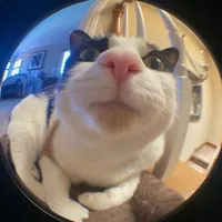 original sound - kmjtlv