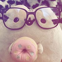 ster_hp