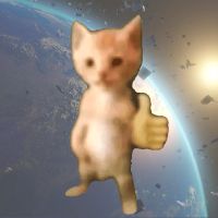 original sound - MeowMeowSupply