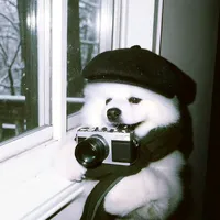 FD ZF HARI BAHAGIA BFUNK AMANG FAHMI X FIFAH ONLY0