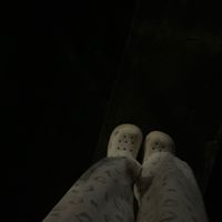 เสียงต้นฉบับ - ✿