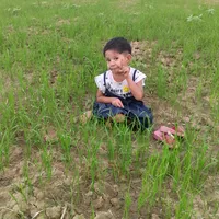 original sound - user6387547411193