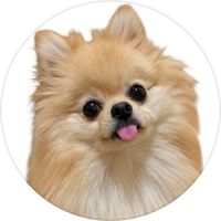 オリジナル楽曲 - にゃんぽめ日記