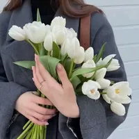 original sound - 2020.2025.3