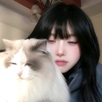 오리지널 사운드 - KM