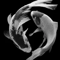 original sound - imtiyazz27