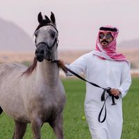 الصوت الأصلي