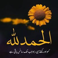 deen_e_islam830