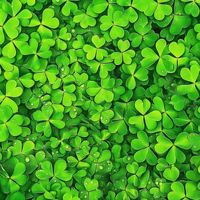 nhạc nền - Grace Hoang