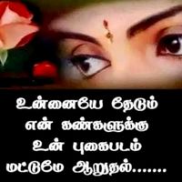 user8137360707436