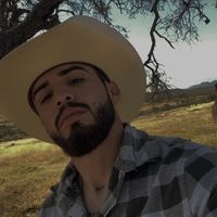 cómo se llama cuando estás soltero