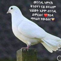 habtomgebray672