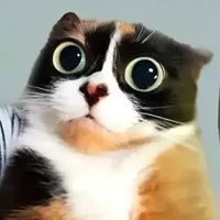 original sound - qwatrr