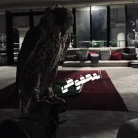 original sound - kamal__303