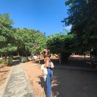 marrymarry084