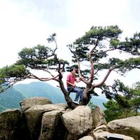 오리지널 사운드 - 연길26