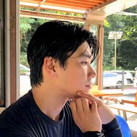dongzik_skin