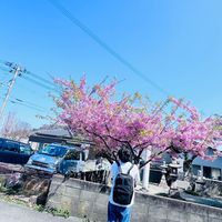 original sound - STARBOZY •_»ft SG