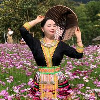nhạc nền - Hoa Mai 🌸
