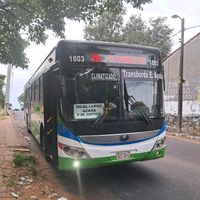 linea56.2001