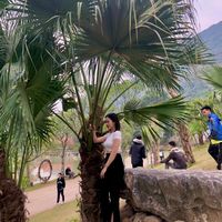 2612phuong3