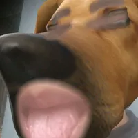 original sound - silosrresto