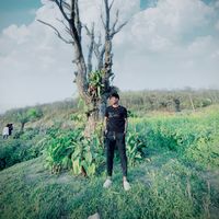 original sound - Oggy zin