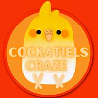 cockatielscraze