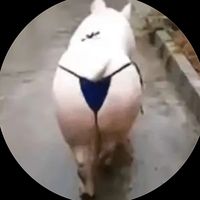 blackibou22