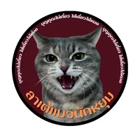 original sound - lattecat_family