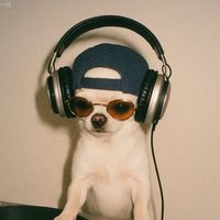 original sound