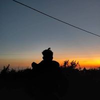 yoyo_v15