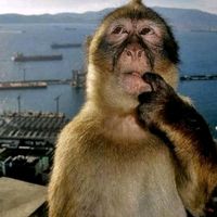 original sound - Ghetsuuu