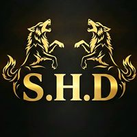 sheikhbrand160
