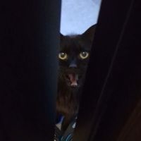 オリジナル楽曲 - uni_chaan2