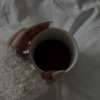 sh.elegant1