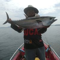 pathomfishimg