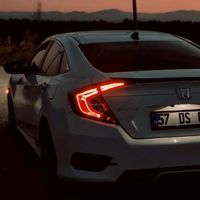 vickdocivicg10