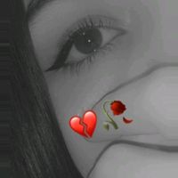 noreen8501
